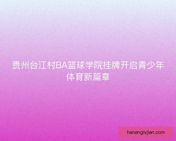 贵州台江村BA篮球学院挂牌开启青少年体育新篇章